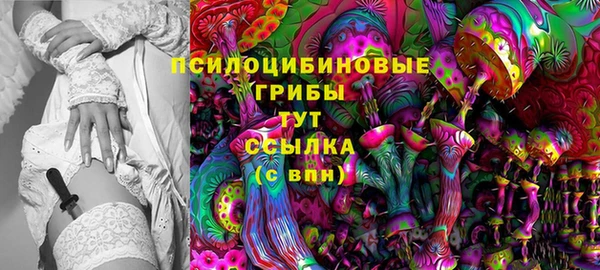 ECSTASY Баксан