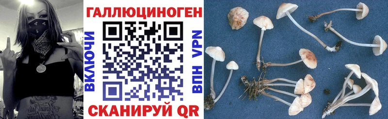 Псилоцибиновые грибы MAGIC MUSHROOMS  Морозовск 